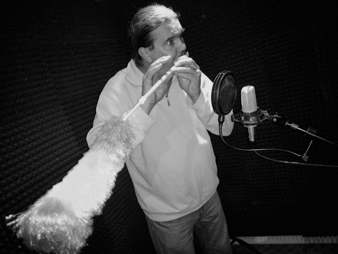Delfin Hangstúdió